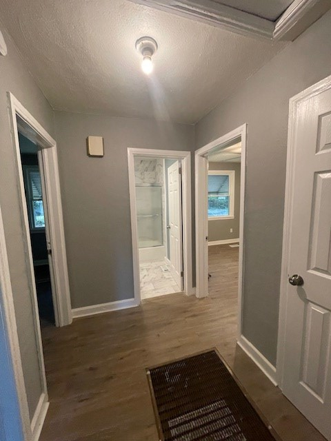 2910 Pecan Street Columbus, GA 31906 - Photo 5 of 6 Hallway to bedrooms, bathroom, bonus/office room