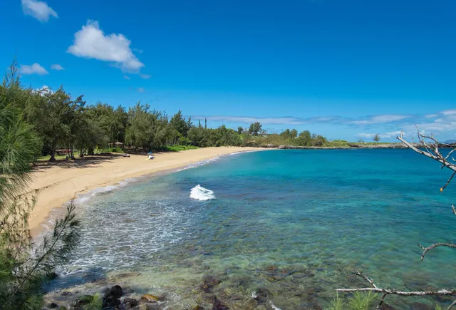 $1,350,000 | 100 Ridge Road, Unit 2914, Lahaina, HI 96761