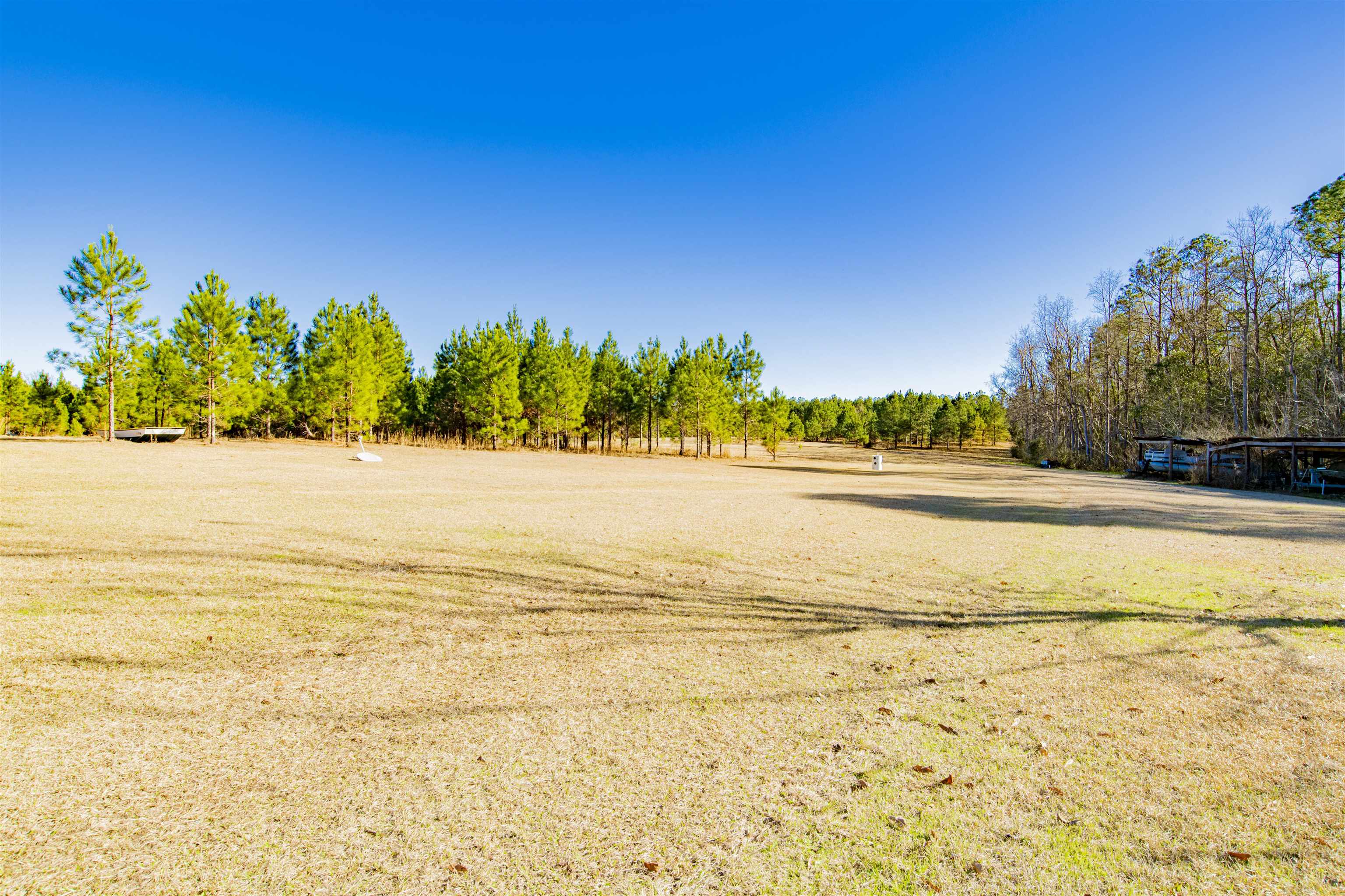 14500 Melvin Johnson Road Stapleton, AL 36578 - Photo 4 of 24