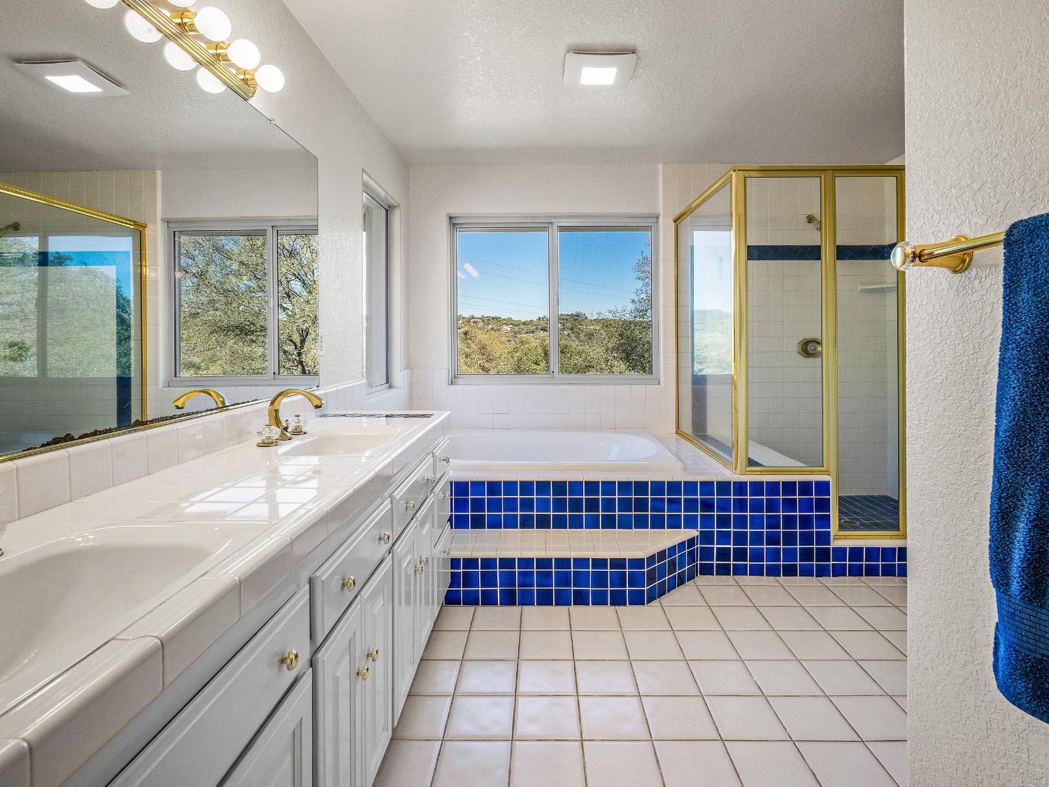 5373 Prairie Loop Placerville, CA 95667 - Photo 22 of 32 Primary bathroom with a view.