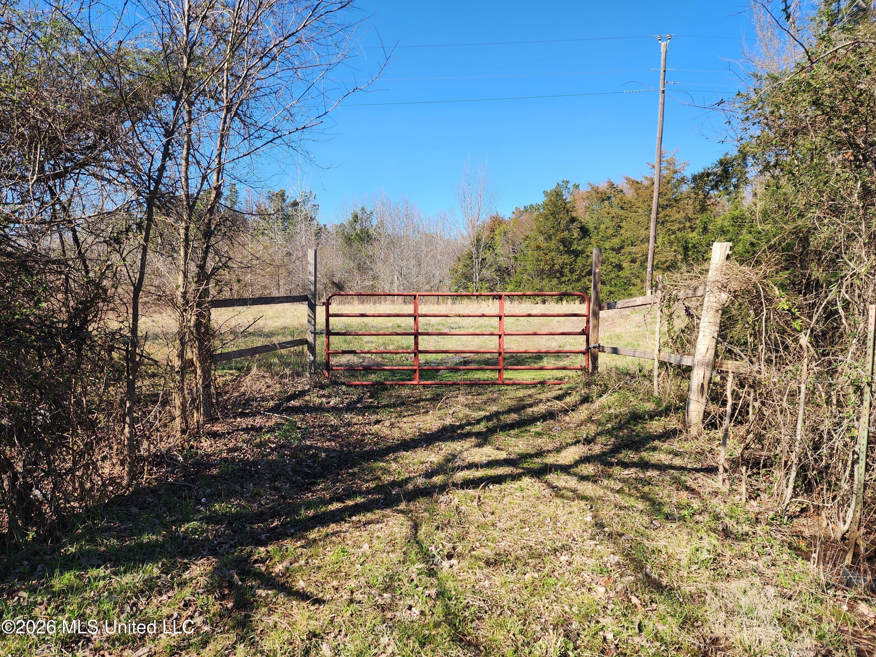 3736 Wyatte-Tyro Road Senatobia, MS 38668 - Photo 2 of 20 20260227_143850