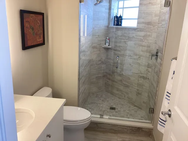 a bathroom with a shower and a toilet