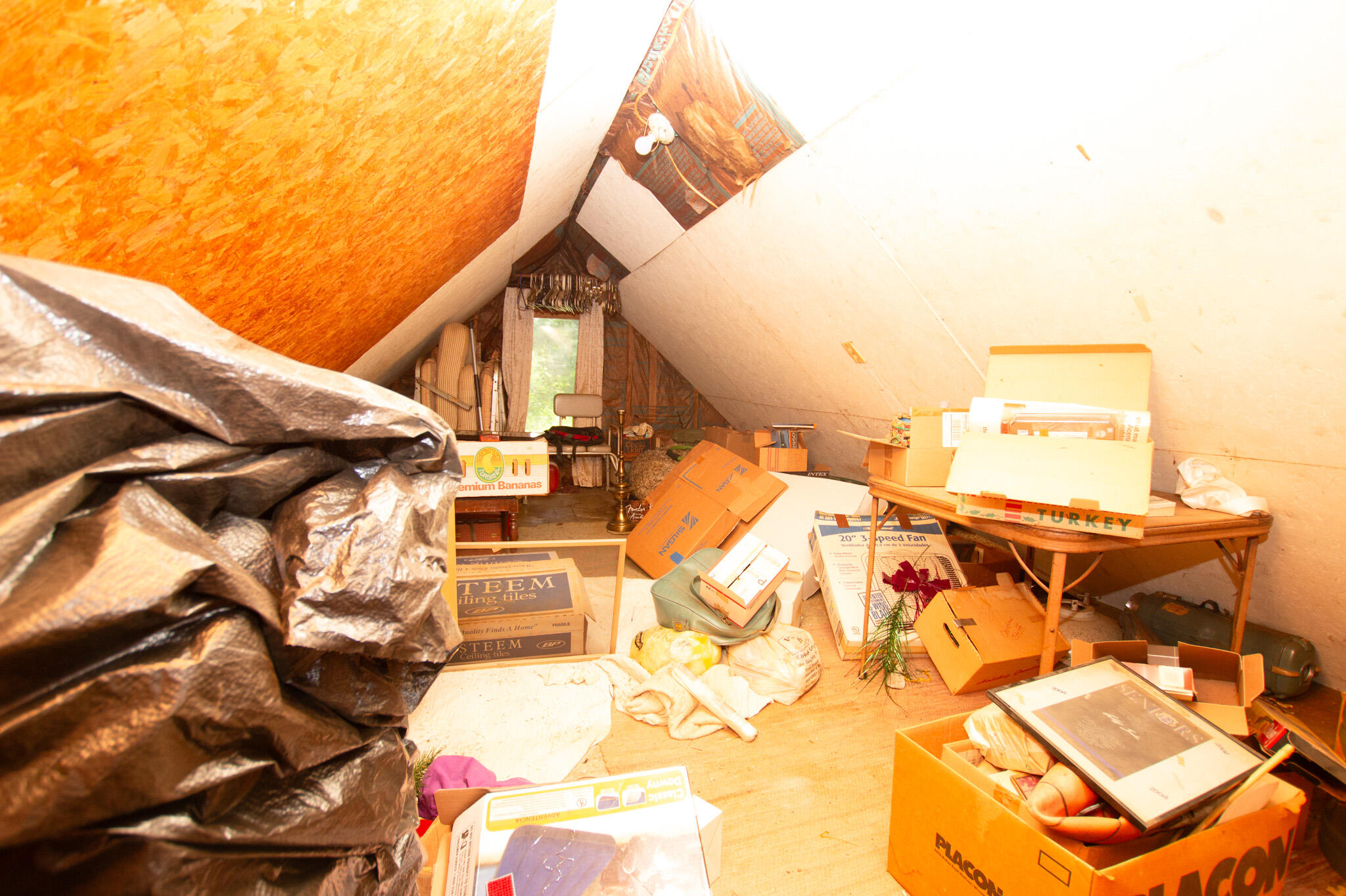 310 Clark Street Decatur, MI 49045 - Photo 8 of 15 IMG_8554