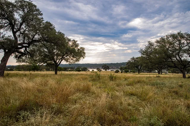 a view of yard with trees in background