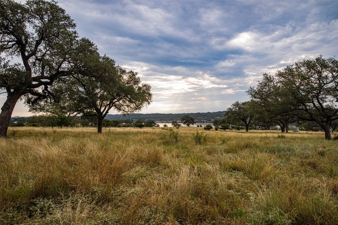 6 Dos Rios Way Marble Falls, TX 78654 - Photo 12 of 28 a view of yard with trees in background