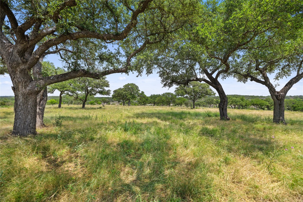 6 Dos Rios Way Marble Falls, TX 78654 - Photo 17 of 28 a view of outdoor space with trees all around