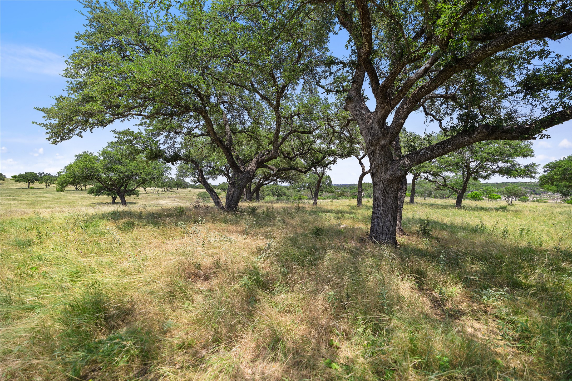 6 Dos Rios Way Marble Falls, TX 78654 - Photo 18 of 28 a view of lake with a tree