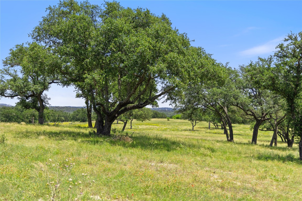 6 Dos Rios Way Marble Falls, TX 78654 - Photo 19 of 28 a view of yard with trees