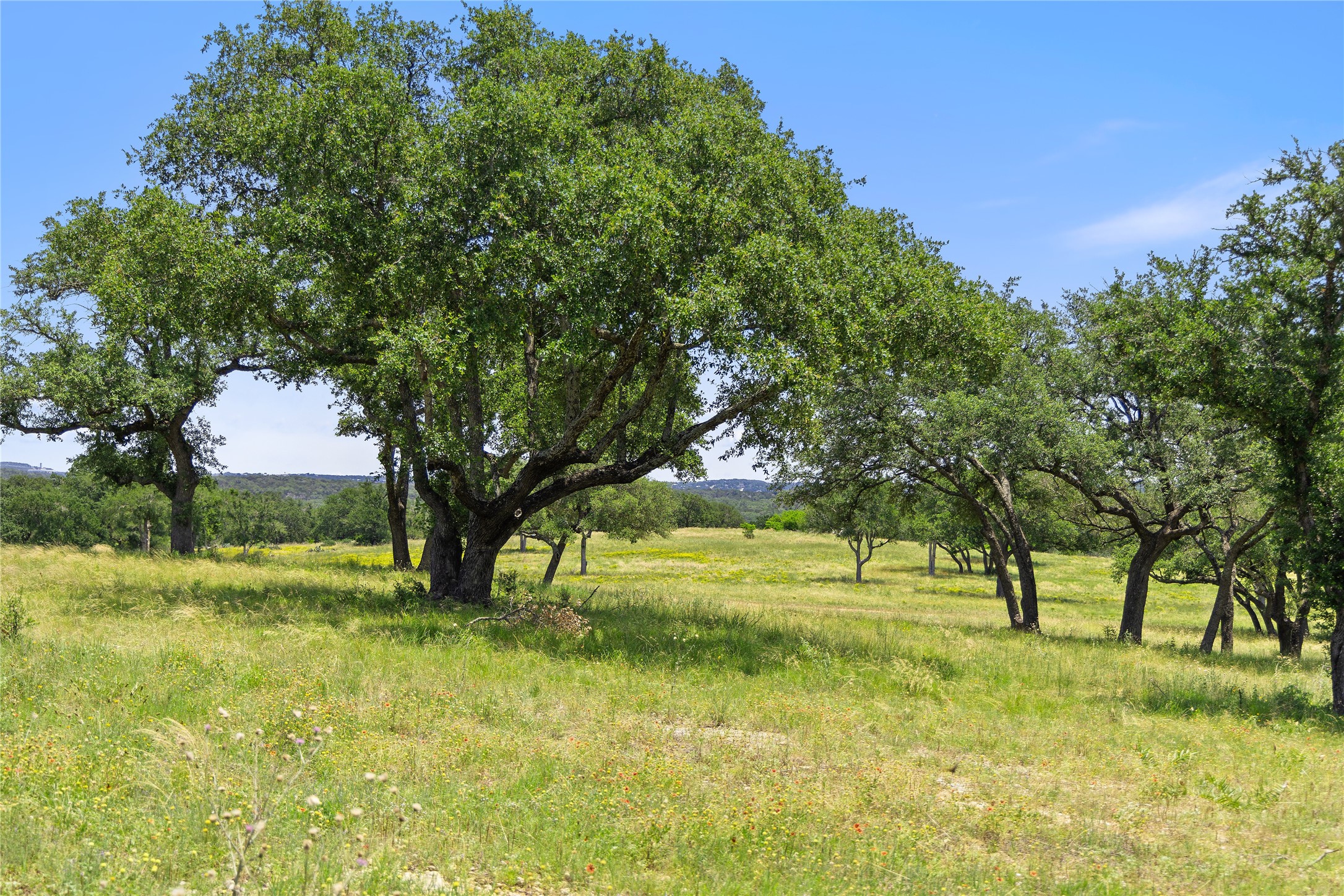 6 Dos Rios Way Marble Falls, TX 78654 - Photo 19 of 28