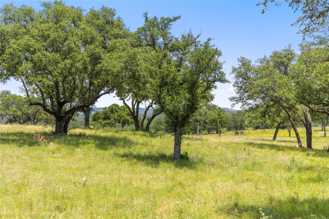 6 Dos Rios Way Marble Falls, TX 78654 - Photo 22 of 28 a view of yard with trees