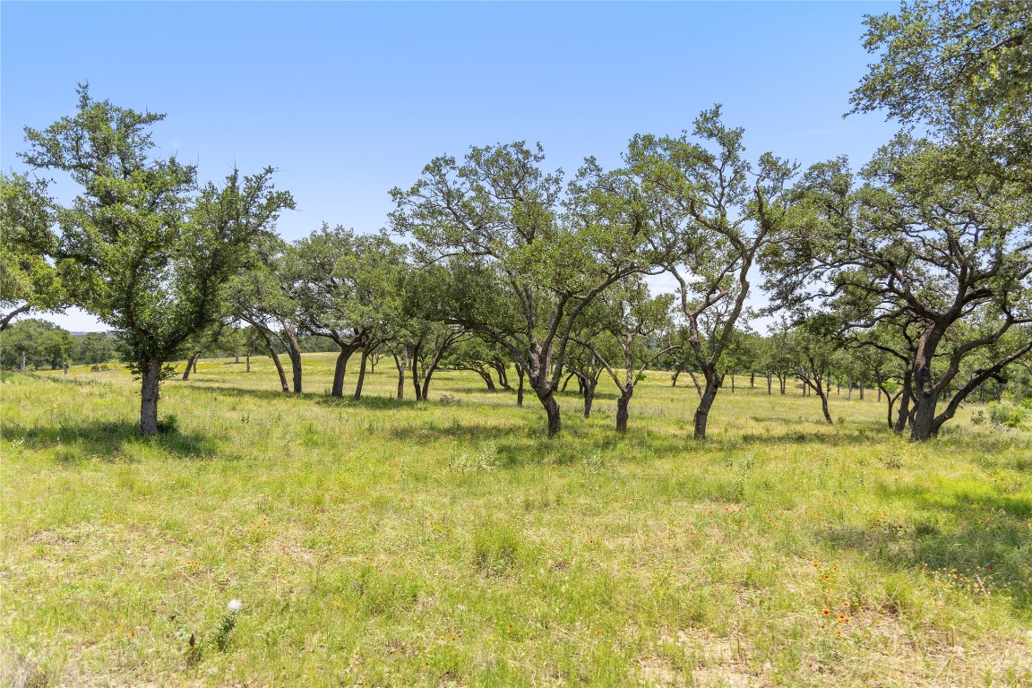 6 Dos Rios Way Marble Falls, TX 78654 - Photo 23 of 28 a view of yard with trees