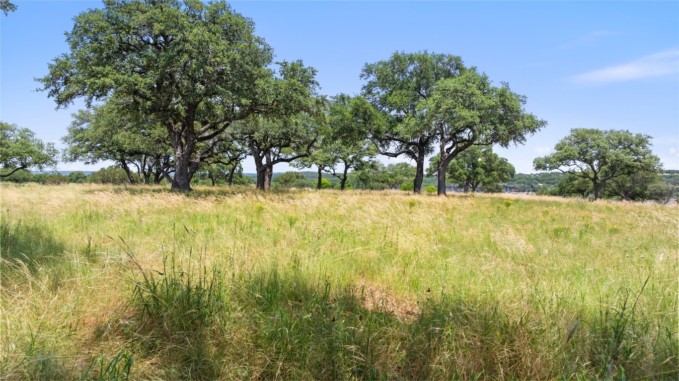 6 Dos Rios Way Marble Falls, TX 78654 - Photo 24 of 28 a view of yard with swimming pool and trees in the background