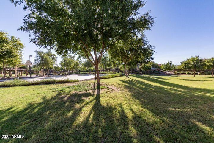 2040 West Kathleen Road Phoenix, AZ 85023 - Photo 44 of 44 Photo #44