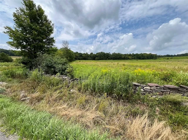 $395,000 | 0 Route 28 Meredith Ny 13753, Meredith, NY 13753