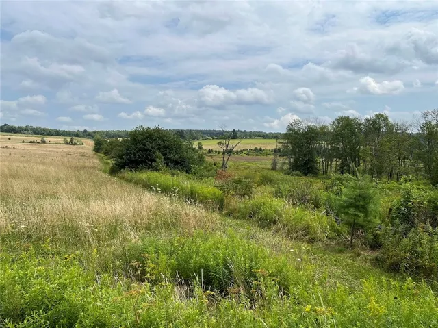 $395,000 | 0 Route 28 Meredith Ny 13753, Meredith, NY 13753