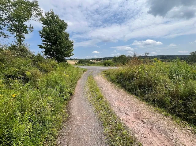$395,000 | 0 Route 28 Meredith Ny 13753, Meredith, NY 13753