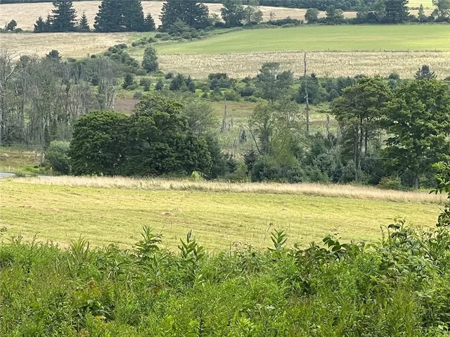 $395,000 | 0 Route 28 Meredith Ny 13753, Meredith, NY 13753