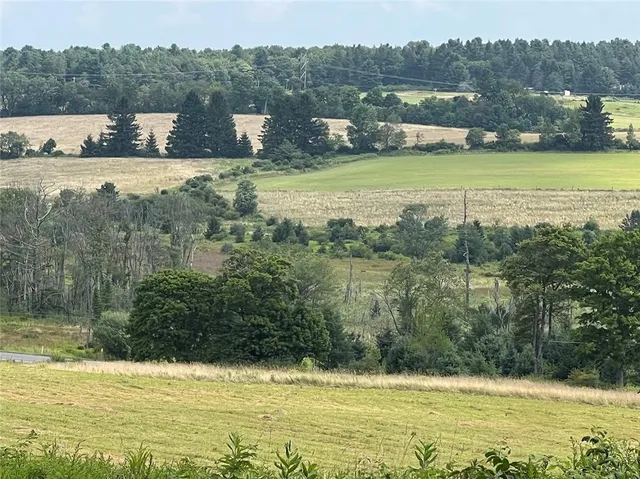 $395,000 | 0 Route 28 Meredith Ny 13753, Meredith, NY 13753