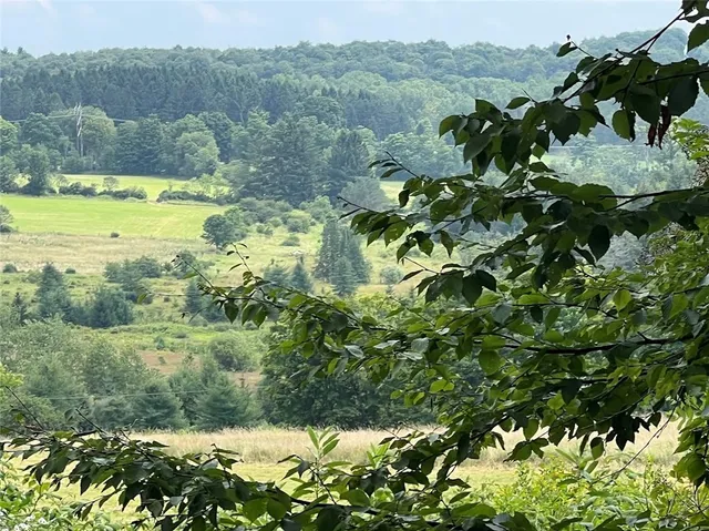 $395,000 | 0 Route 28 Meredith Ny 13753, Meredith, NY 13753