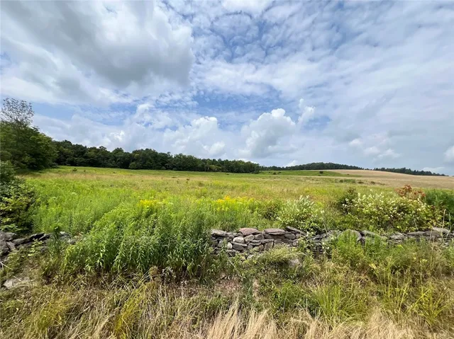 $395,000 | 0 Route 28 Meredith Ny 13753, Meredith, NY 13753