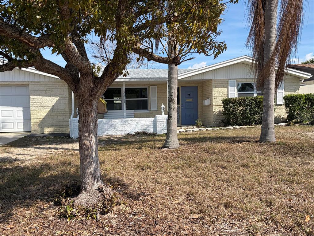 10826 Piccadilly Road Port Richey, FL 34668 - Photo 22 of 36 Gallery Image 22