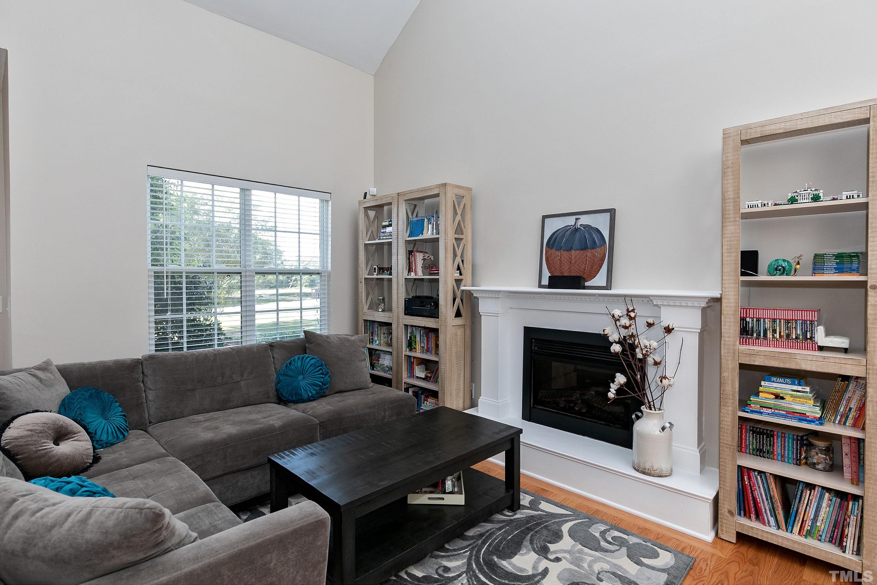 7025 Onslow Stephenson Road Willow Spring, NC 27592 - Photo 4 of 30 a living room with furniture a bookshelf and a fireplace