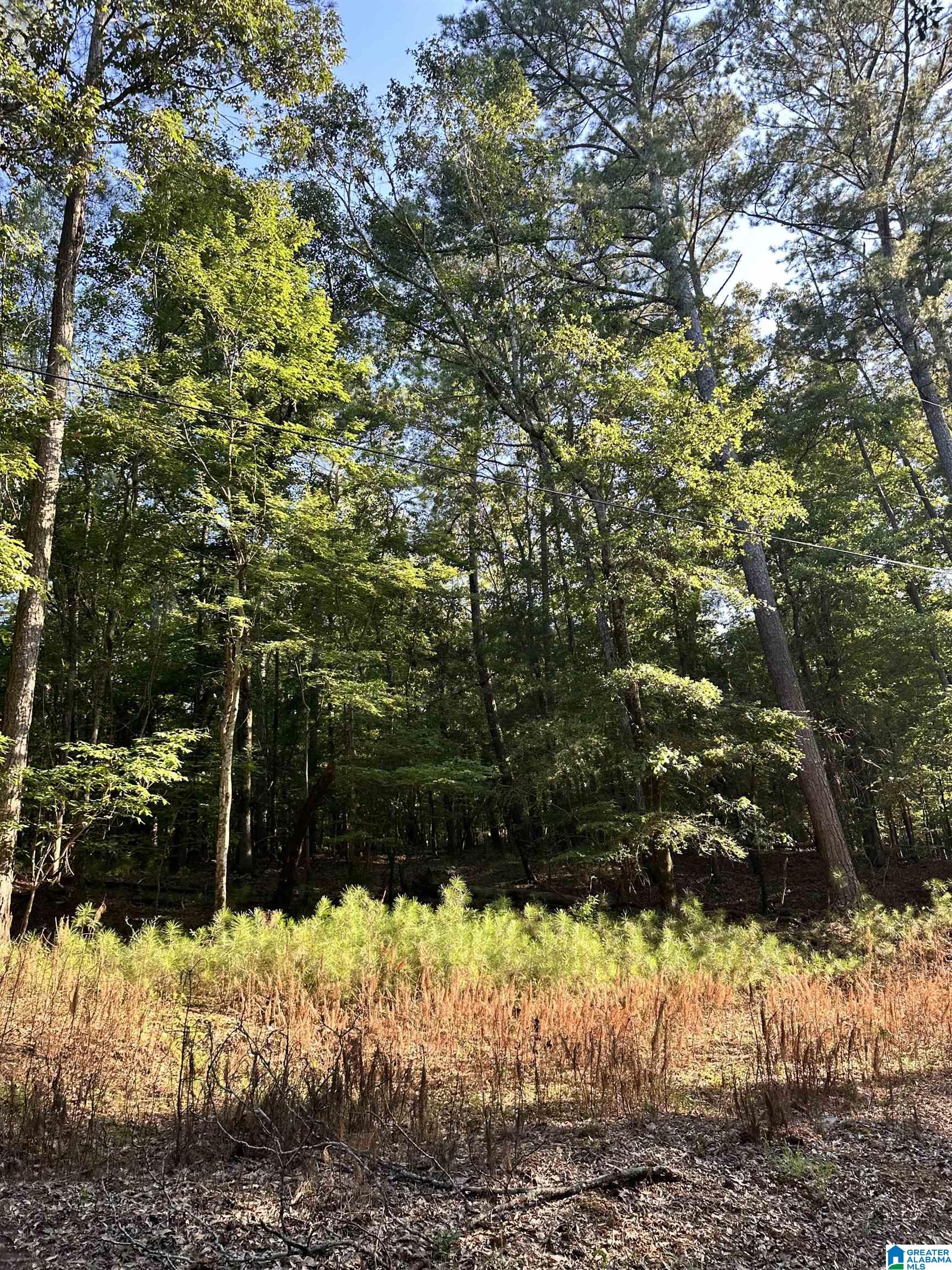 500 Black Acres Road, Unit 27 Cropwell, AL 35054 - Photo 19 of 25