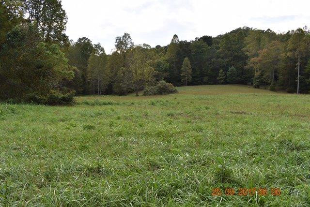 196 Lacy Road Stanton, KY 40380 - Photo 51 of 55 Photo 51