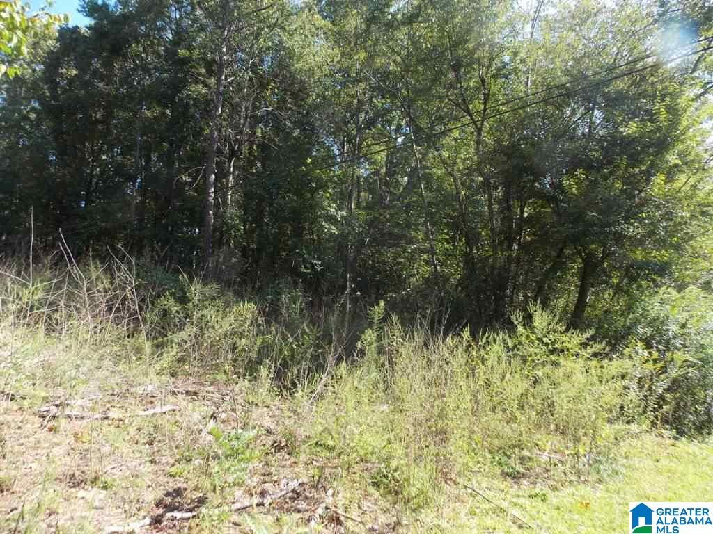 375 Marble Quarry Road, Unit 7 ACRES Talladega, AL 35160 - Photo 17 of 33