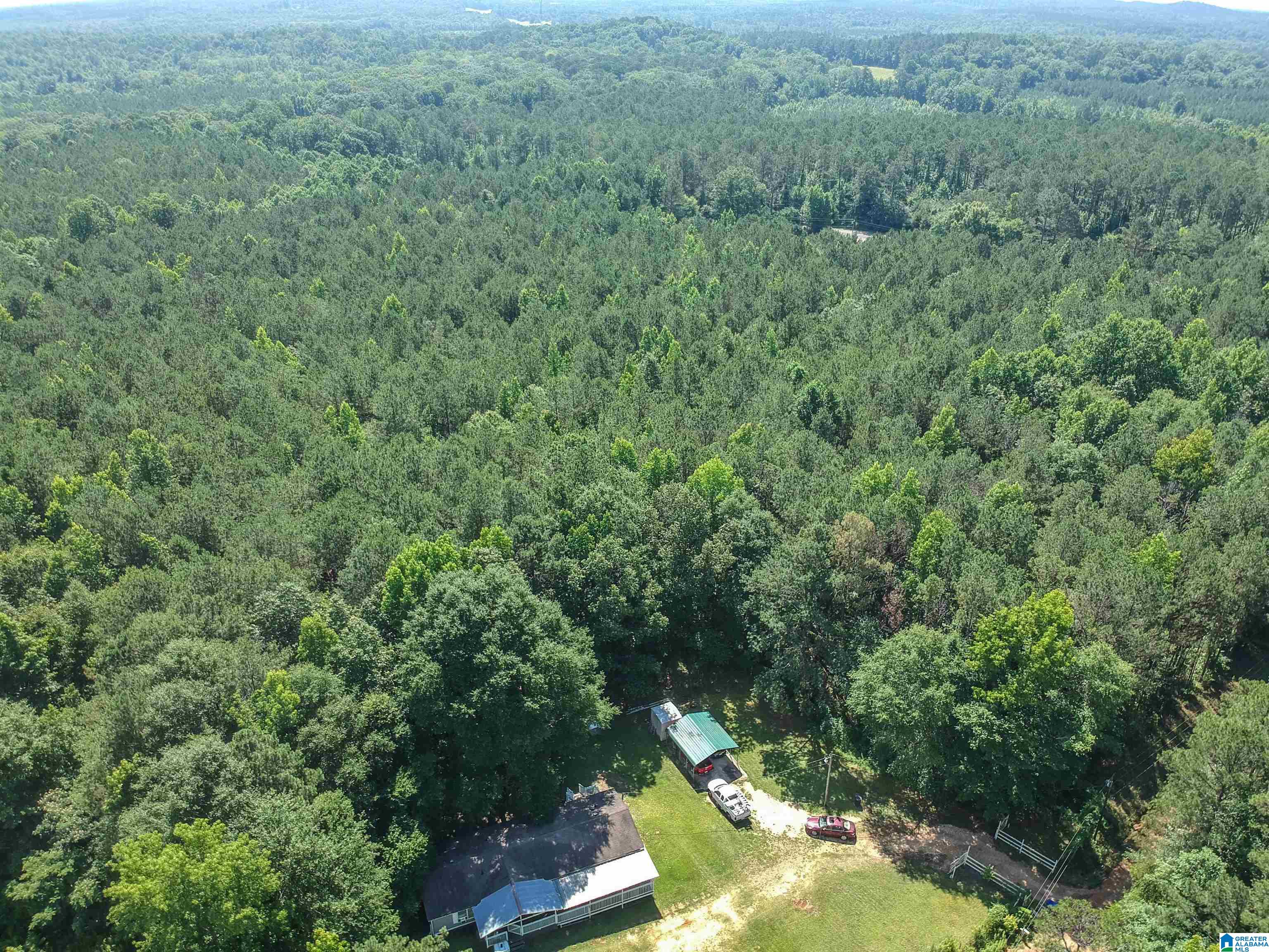 184 Price Road Reform, AL 35481 - Photo 5 of 51 Gallery Image 5