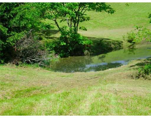 316 Gilkeson Road Eighty Four, PA 15330 - Photo 3 of 11 Land/Lot.