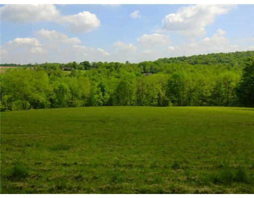 316 Gilkeson Road Eighty Four, PA 15330 - Photo 8 of 11 Land/Lot.