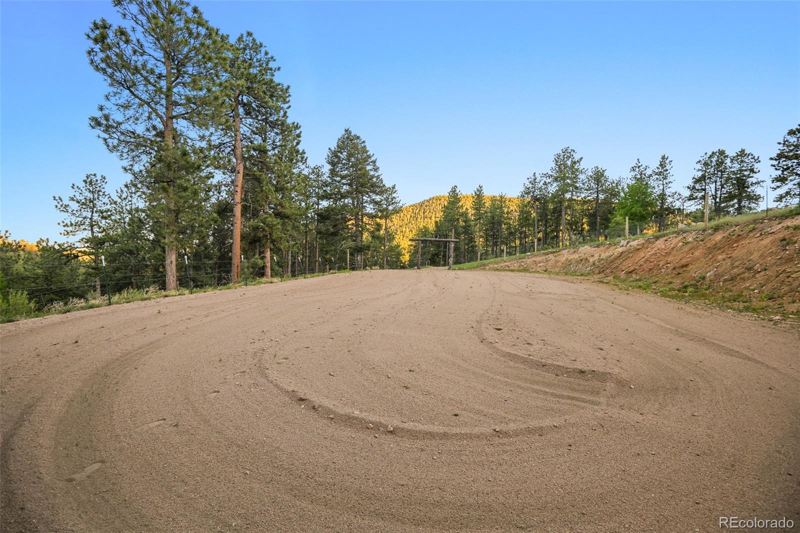 13434 Baird Road Conifer, CO 80433 - Photo 33 of 36 a view of a road with a trees