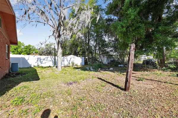 a view of backyard with tree