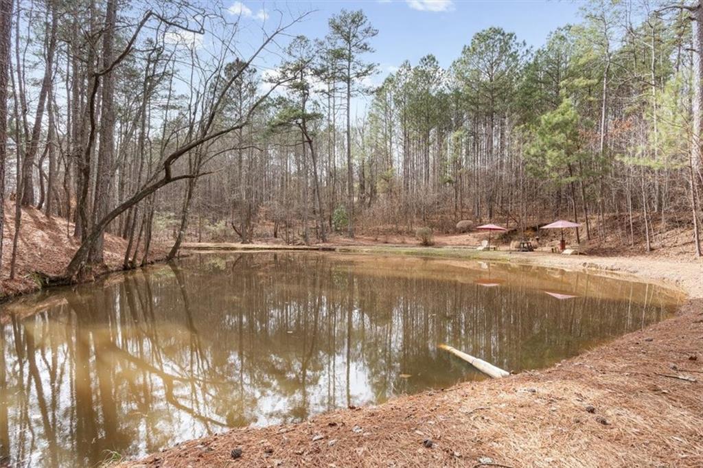 455 M M Sanders Road Buchanan, GA 30113 - Photo 50 of 65