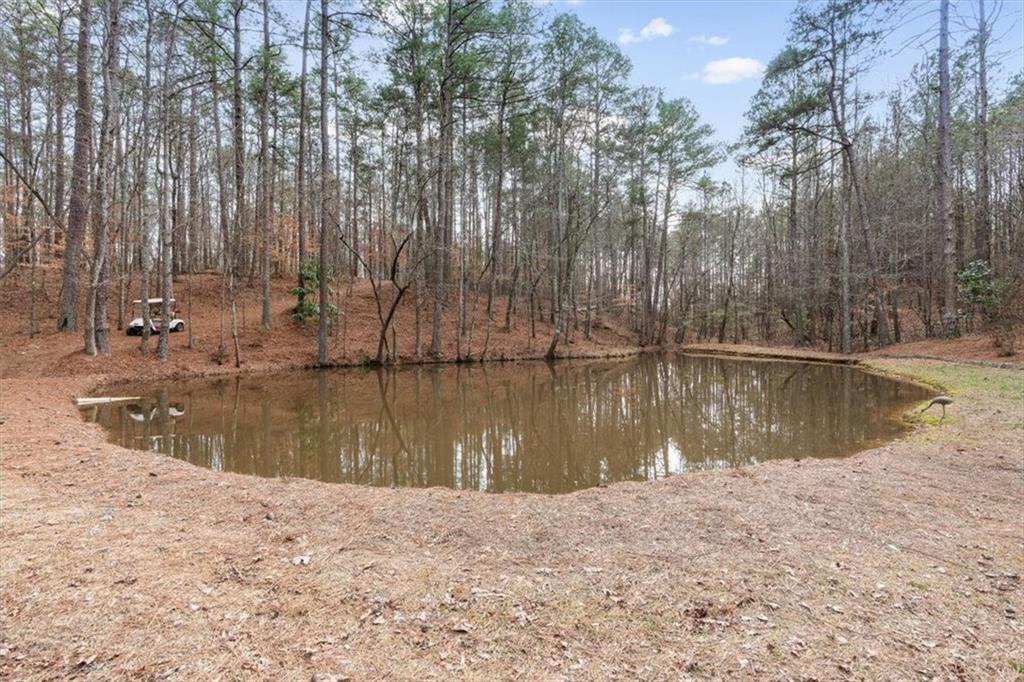 455 M M Sanders Road Buchanan, GA 30113 - Photo 53 of 65 a view of lake from a house
