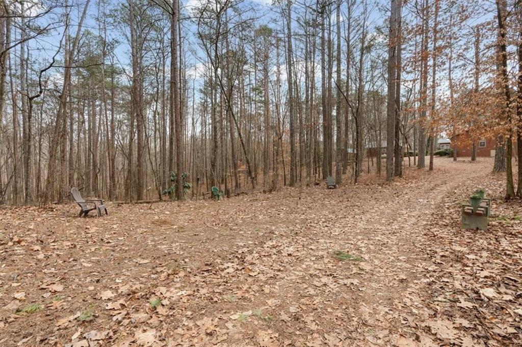 455 M M Sanders Road Buchanan, GA 30113 - Photo 54 of 65 a view of a backyard of the house