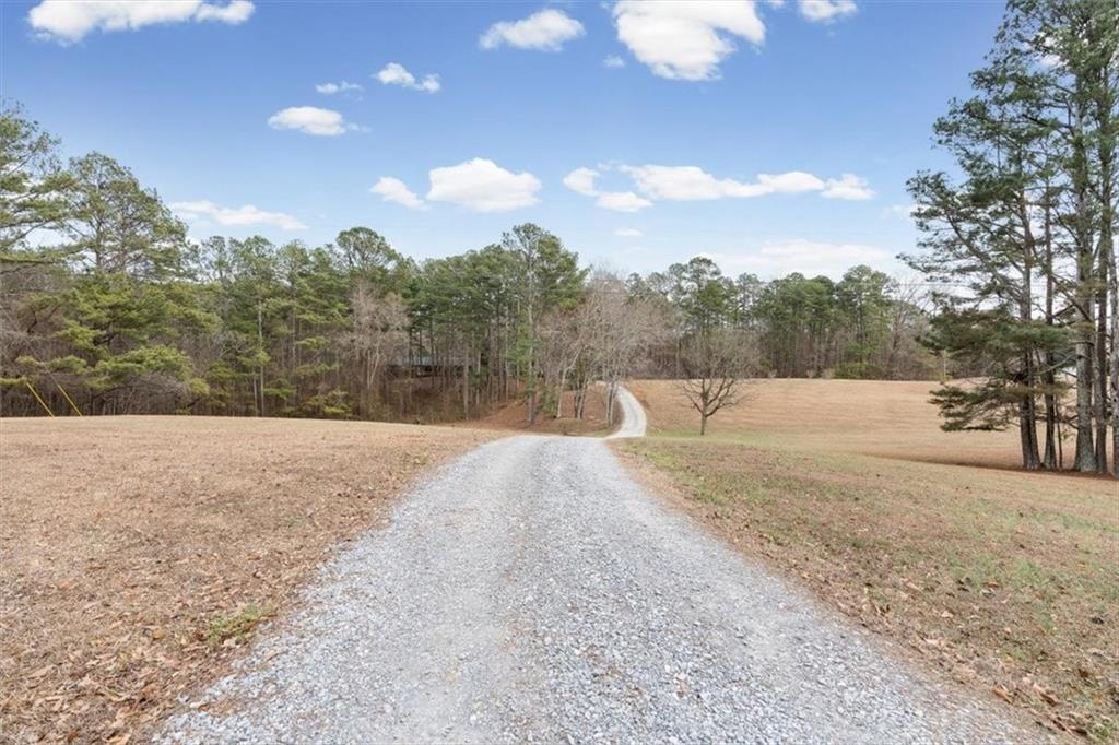 455 M M Sanders Road Buchanan, GA 30113 - Photo 56 of 65 a view of outdoor space yard and trees