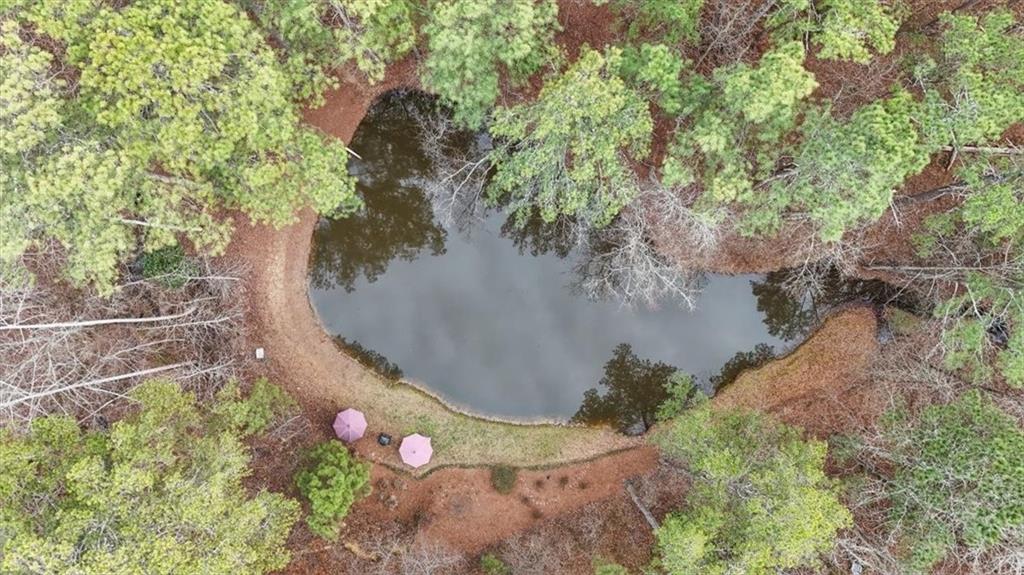 455 M M Sanders Road Buchanan, GA 30113 - Photo 60 of 65 a picture of flowers