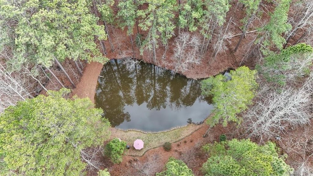 455 M M Sanders Road Buchanan, GA 30113 - Photo 61 of 65 a view of a tree with a yard