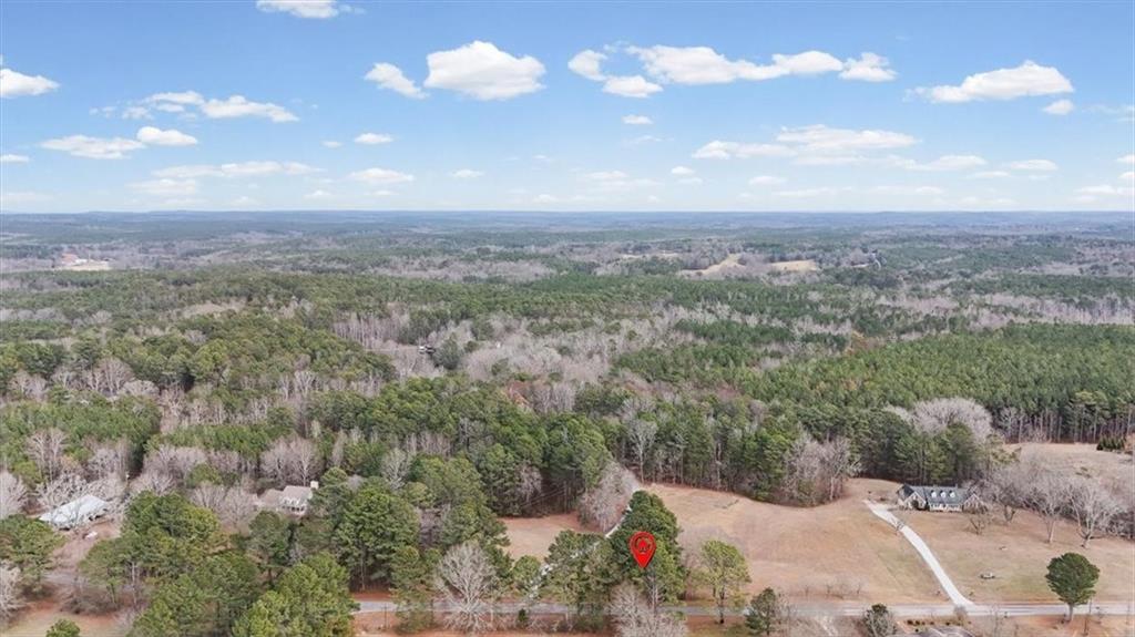 455 M M Sanders Road Buchanan, GA 30113 - Photo 62 of 65 a view of a city with lush green forest