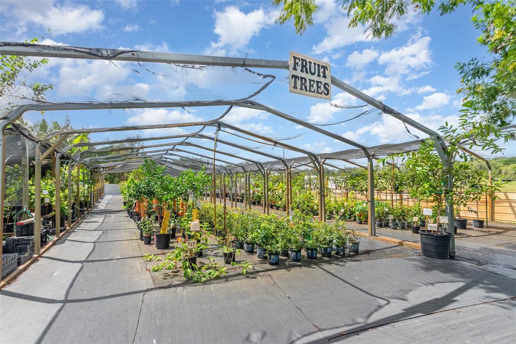 155 11th Avenue Osteen, FL 32764 - Photo 35 of 42 a view of a patio with a table and chairs and a flower pot
