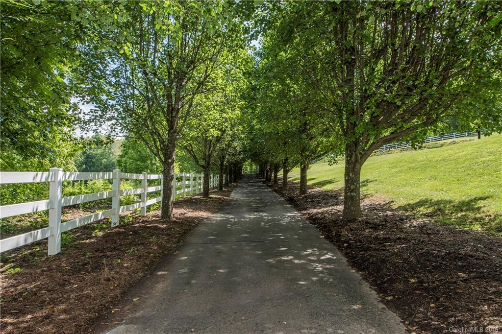 1180 Saunook Road Waynesville, NC 28786 - Photo 10 of 28