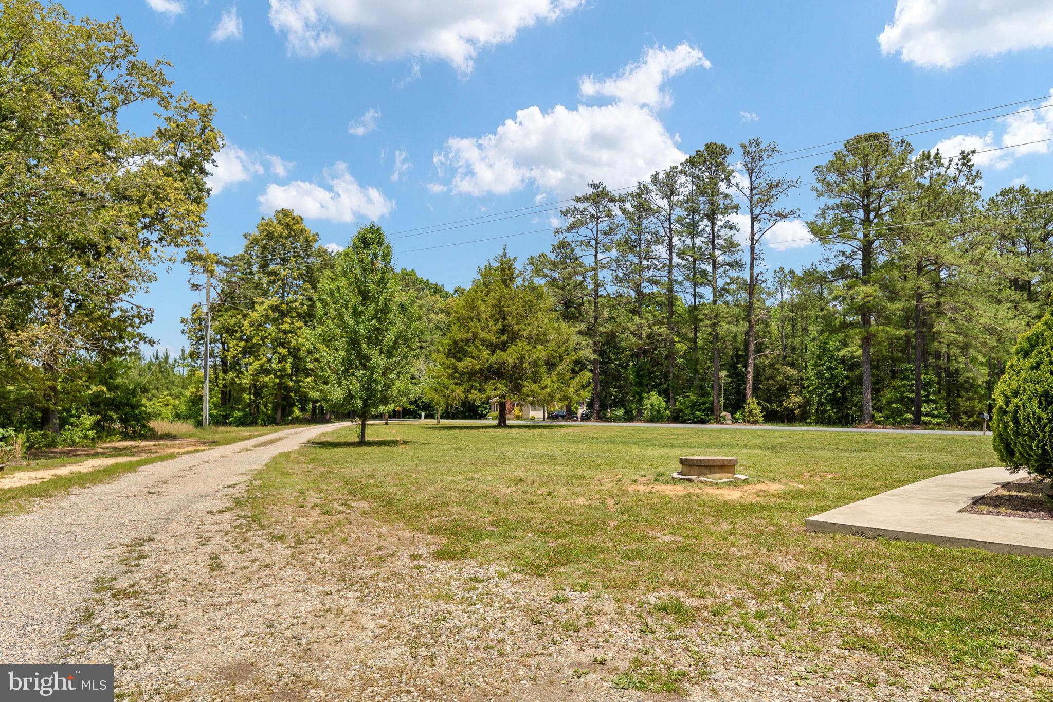 22088 Landora Bridge Road Ruther Glen, VA 22546 - Photo 119 of 122 Serene landscape with lush greenery.