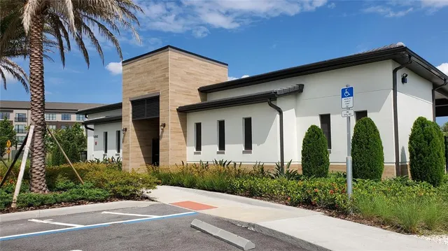 a view of a park with palm trees