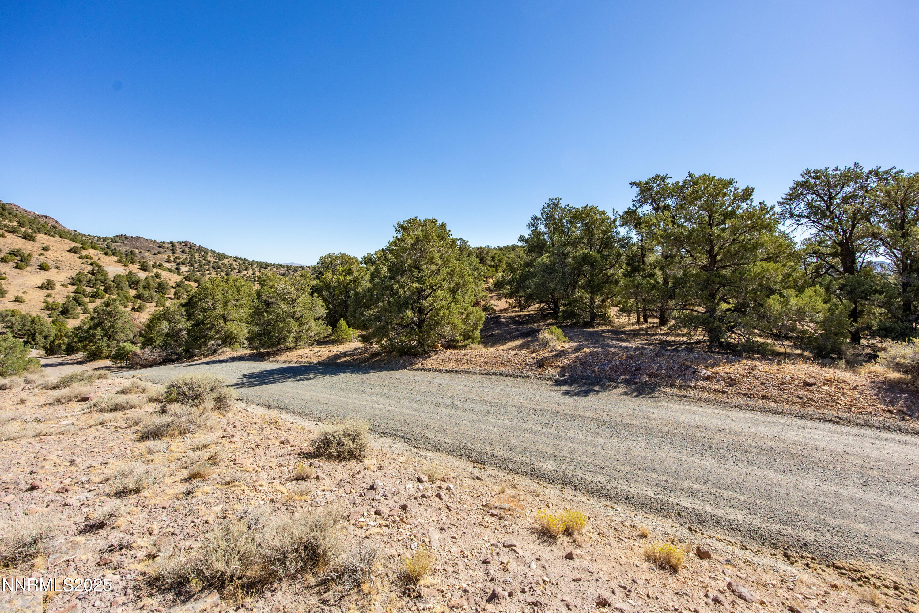2410 Wild Rose Road, Unit 241 Reno, NV 89521 - Photo 14 of 40 005_5-print-2410_wild_rose_ground-6_803