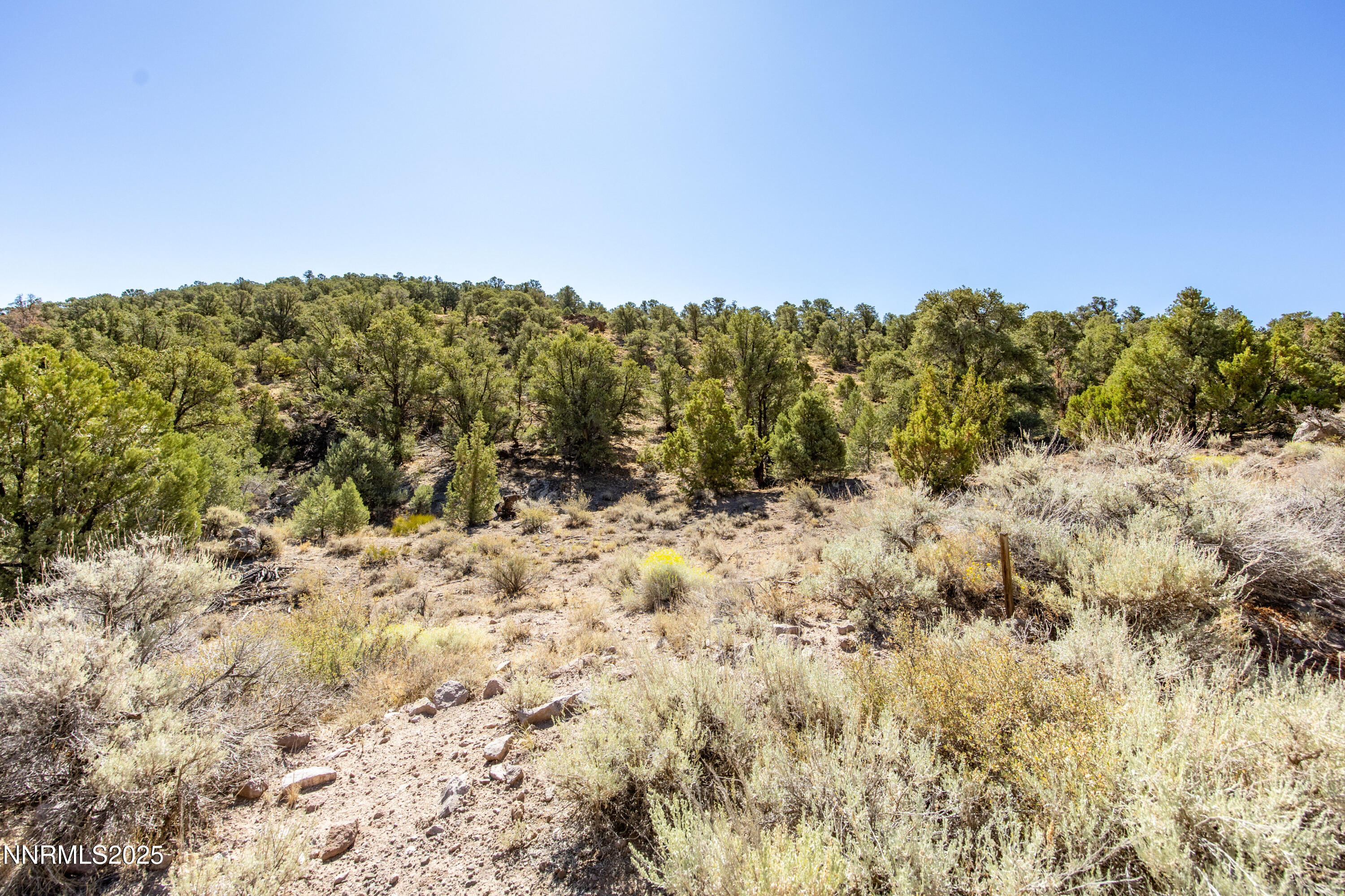 2410 Wild Rose Road, Unit 241 Reno, NV 89521 - Photo 16 of 40 007_7-print-2410_wild_rose_ground-8_619
