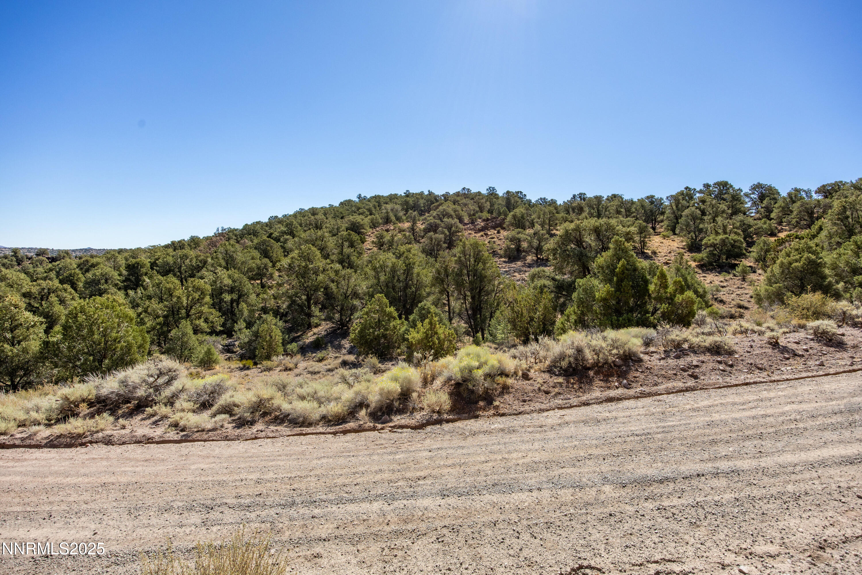 2410 Wild Rose Road, Unit 241 Reno, NV 89521 - Photo 2 of 40 008_8-print-2410_wild_rose_ground-9_332