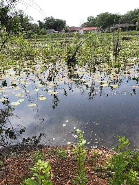 Carver New Port Richey, FL 34654 - Photo 4 of 4 a view of lake with green space