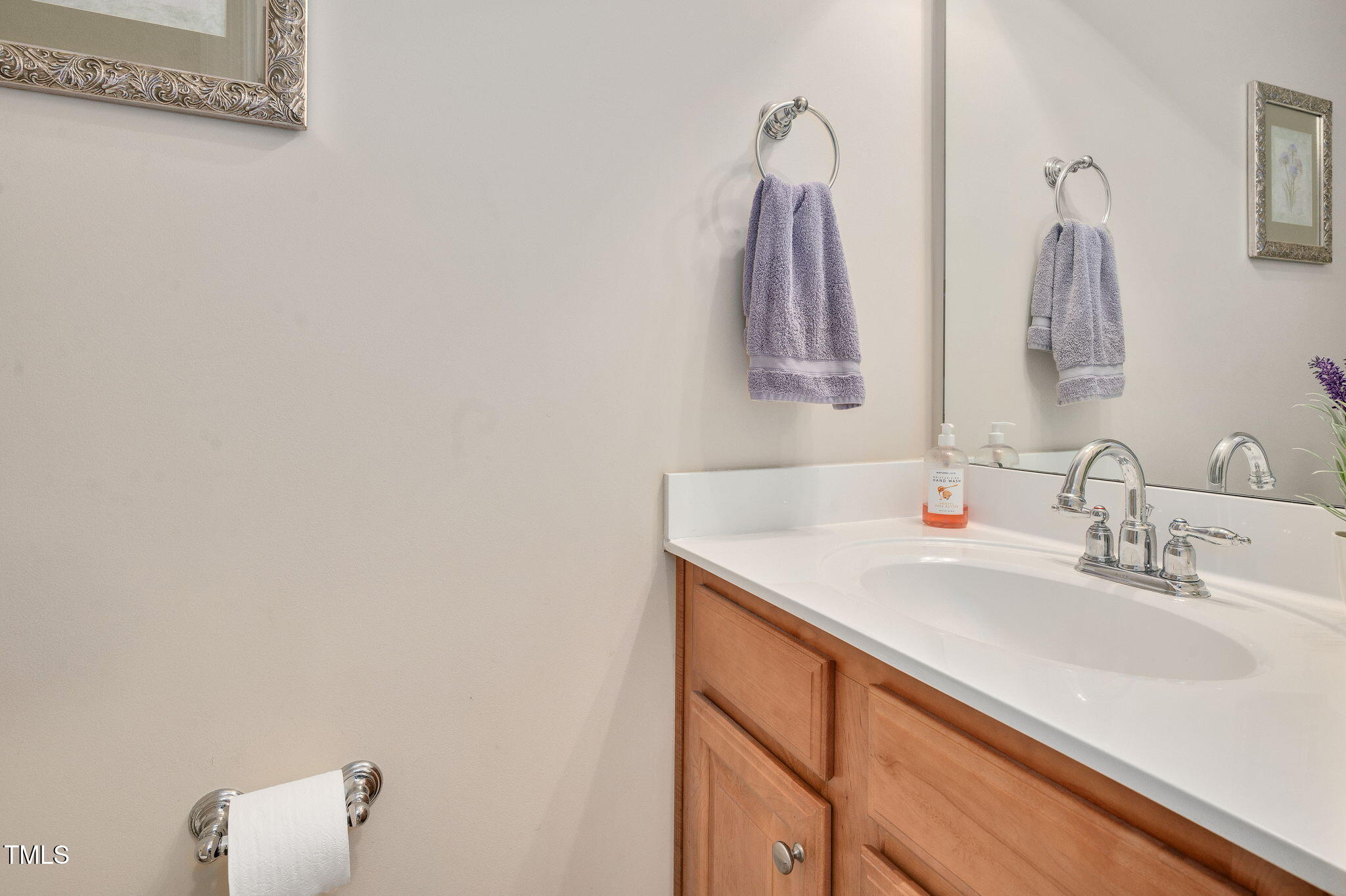 1106 Bellenden Drive Durham, NC 27713 - Photo 18 of 40 a bathroom with a sink vanity and a mirror